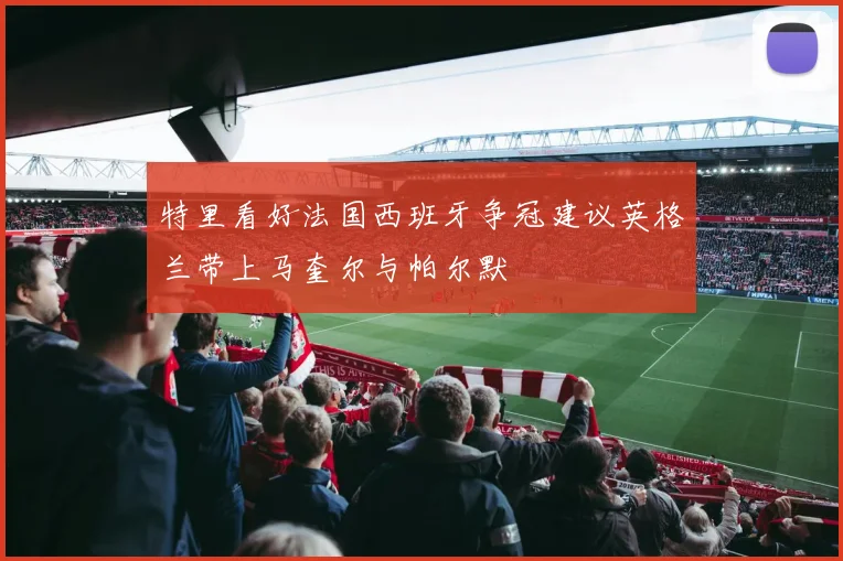 特里看好法国西班牙争冠建议英格兰带上马奎尔与帕尔默