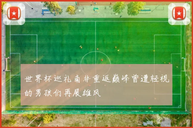 世界杯巡礼南非重返巅峰曾遭轻视的男孩们再展雄风