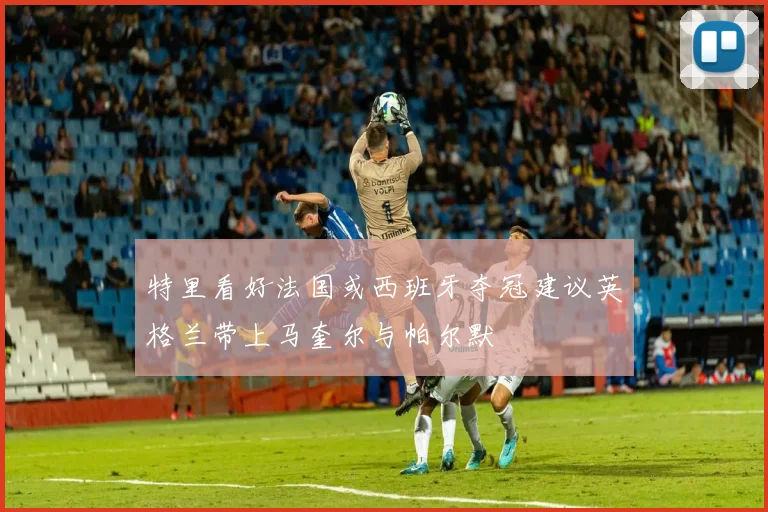特里看好法国或西班牙夺冠建议英格兰带上马奎尔与帕尔默